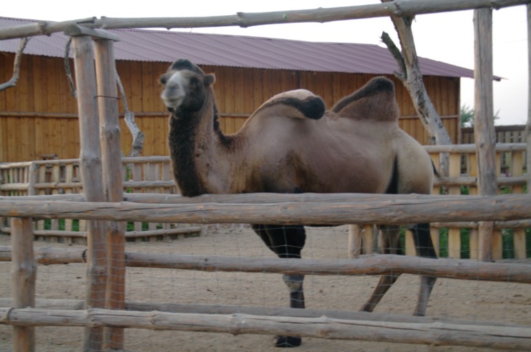 Бердянск, как и где правильно отдыхать!