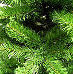 Кто еще не успел купить елочку?