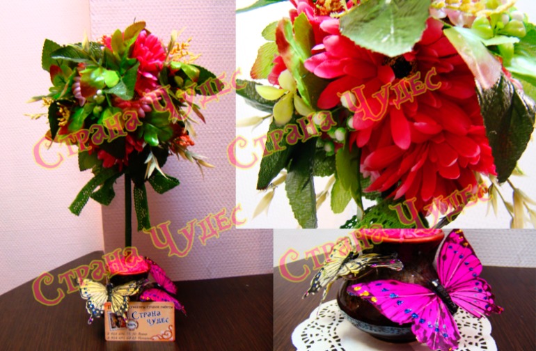 Кофейные и не только.... Ищут своих Хозяев!