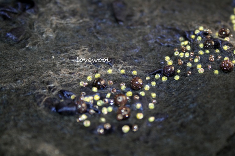 комплект 6 - шапочка и варежки