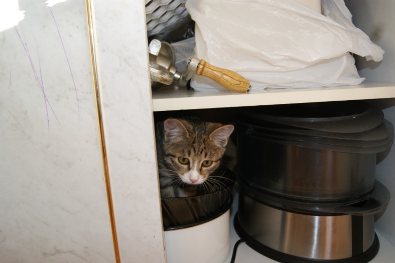 Один наш день...наконец-то написала!