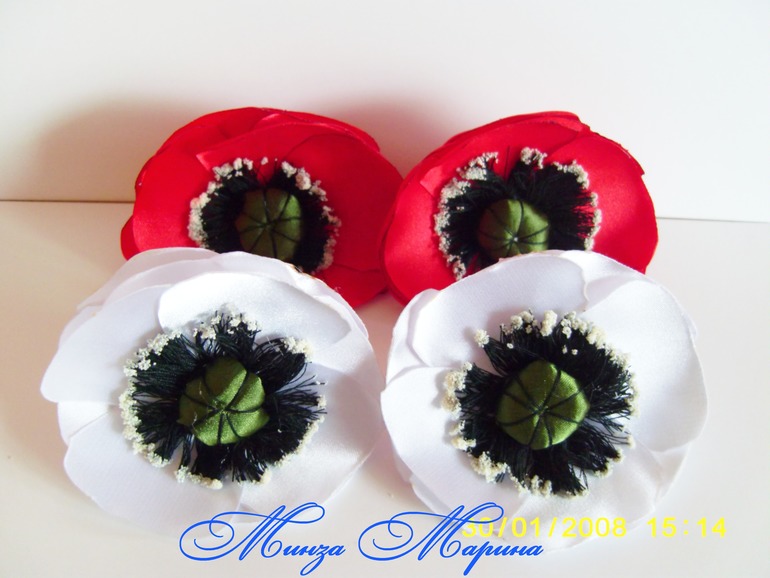 Маки и пионы