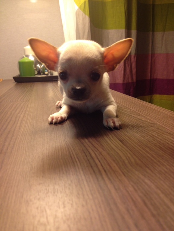 Актировка у малышей)