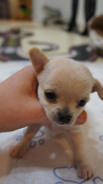 через 3 дня месяц)