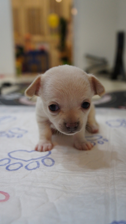 через 3 дня месяц)