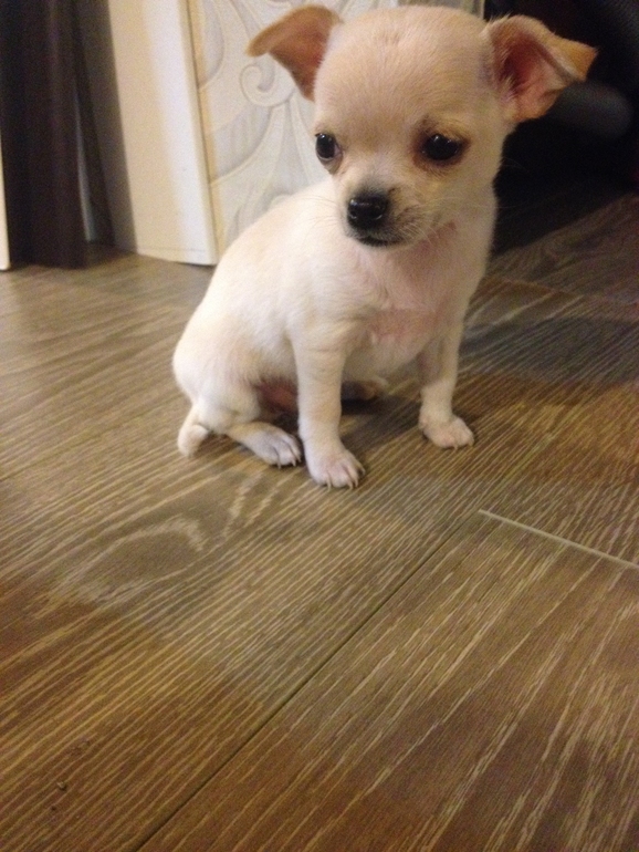 Забронированы)