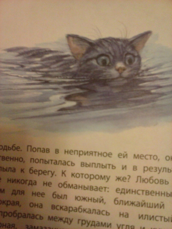 Пересказ королевская аналостанка. Королевская Аналостанка. Рисунок королевской Аналостанки. План по сказке Королевская Аналостанка.