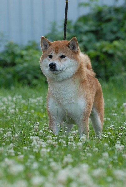 3f7c1d7205af0b3c07c234878e1d8d0e.jpg
