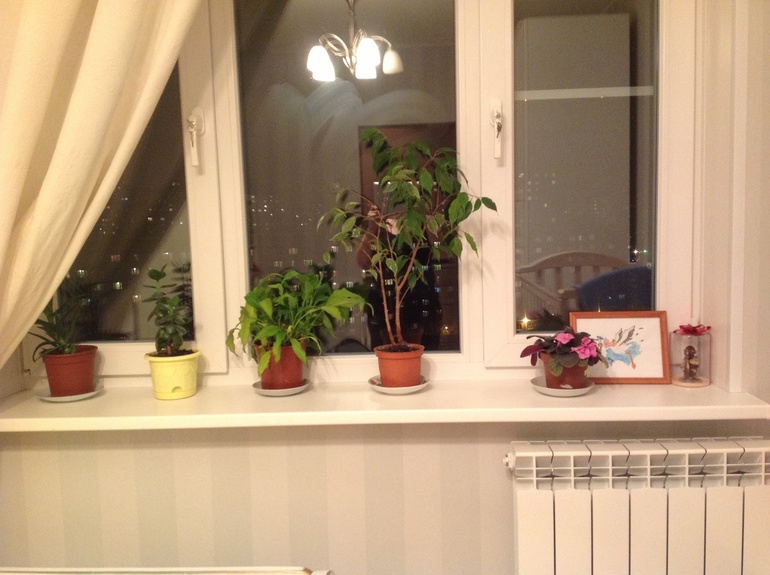 Взлет 66 день 13-15