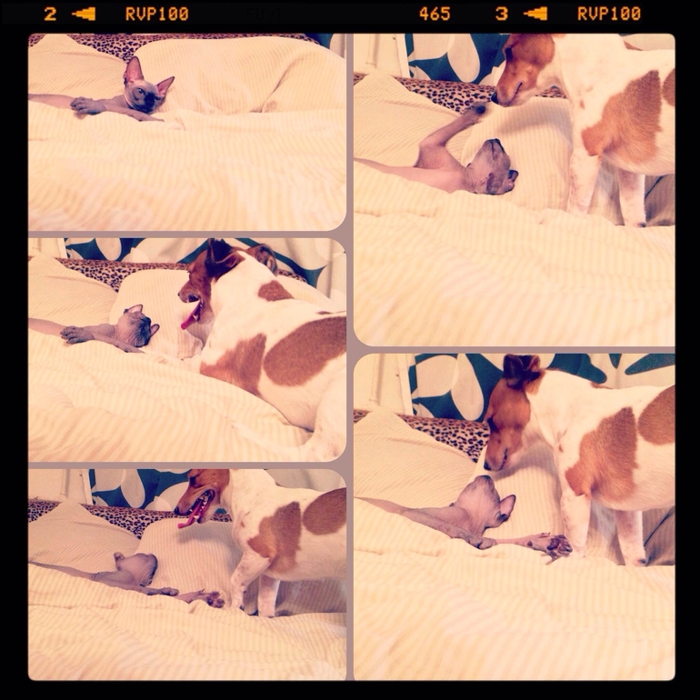 всех по чуть-чуть