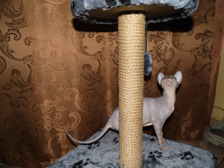 нашей малышке 4 мес.