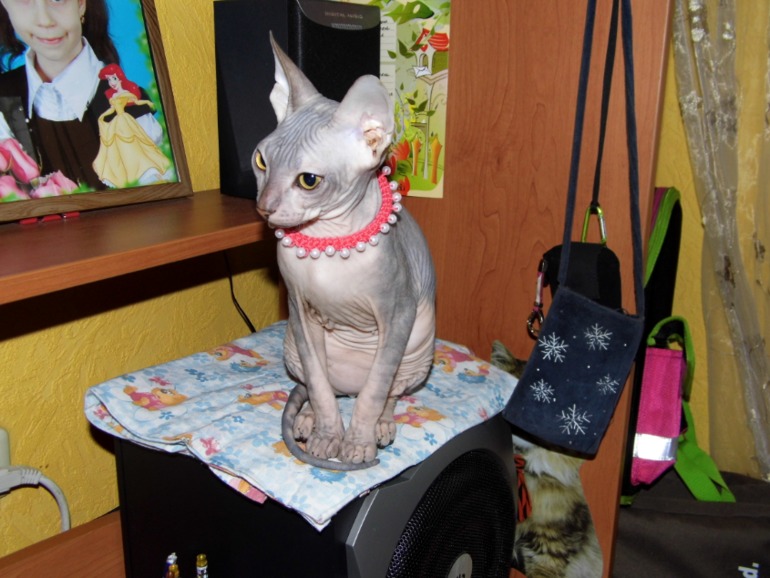 нашей малышке 4 мес.