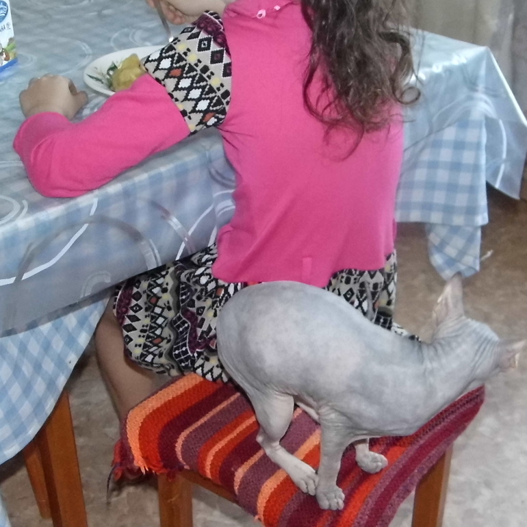 как мы кушаем