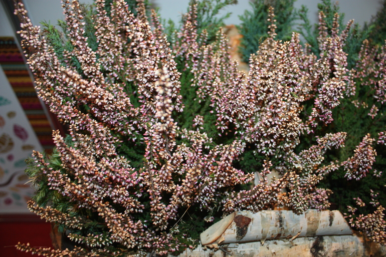 Моя осенняя Формула рукоделия 2013 охота и трофеи)