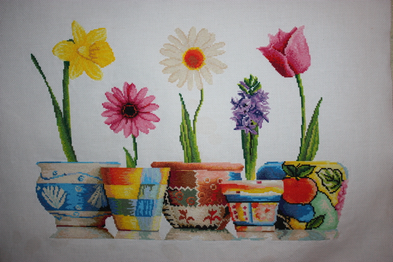 Мои горшочки))