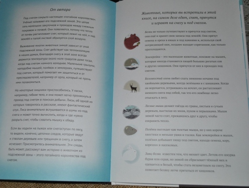 Наши новые зимние книги