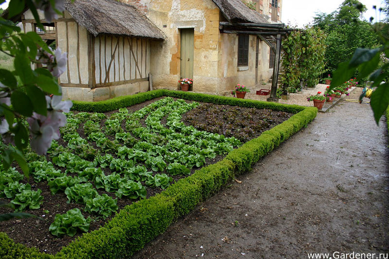 Парк в Версале