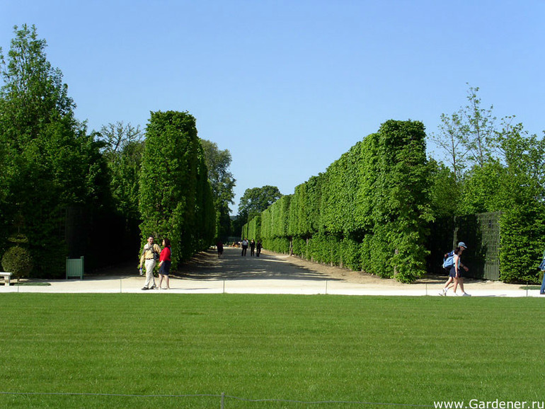 Парк в Версале