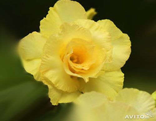 743d4b69ef3fd98ae1ef99ecc6a25f62.jpg