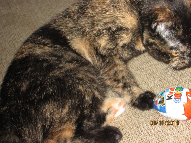 Наша Муська