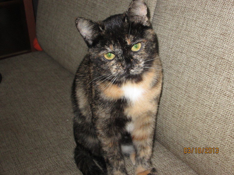 Наша Муська