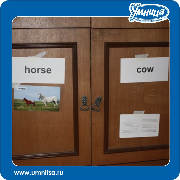 Англоязычные предметы!