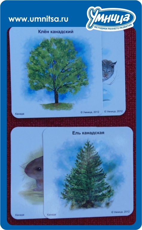 Путешествие в Канаду