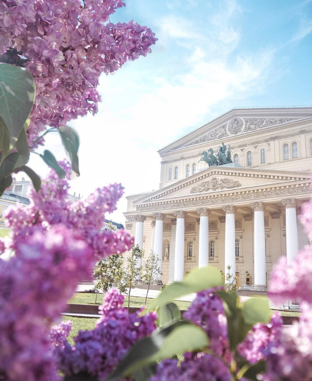 Букет у большого театра сегодня фото Страница 465 - Москва - общайтесь на форуме BabyBlog