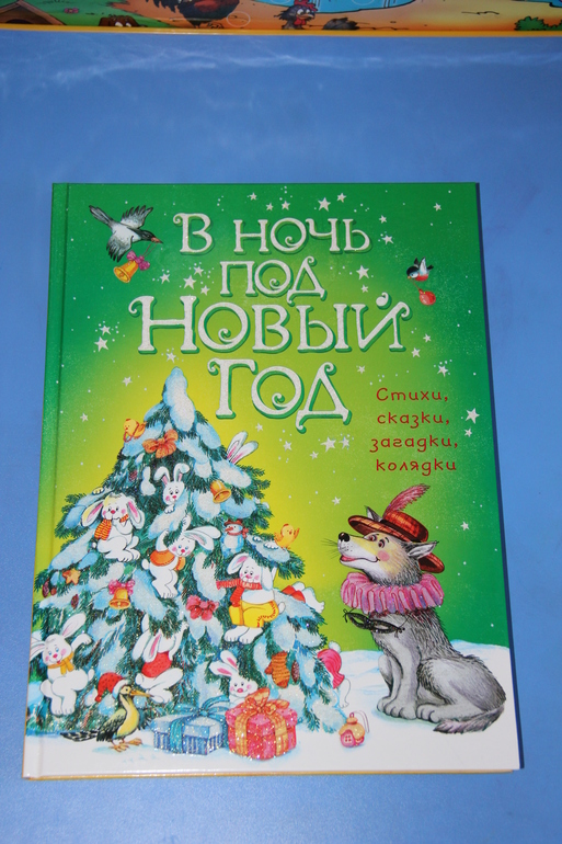 Наши новогодние книги.