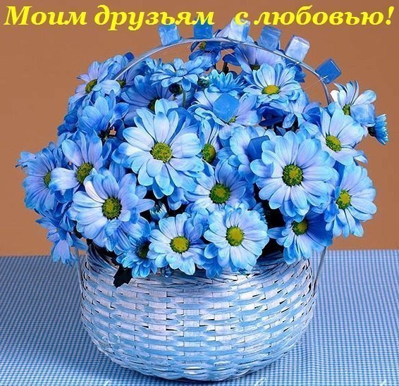 ДОРОГИЕ ДЕВОЧКИ!!!!! Прошу Вас о двух небольших просьбах