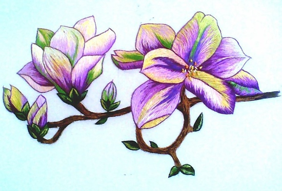 похвастаюсь....