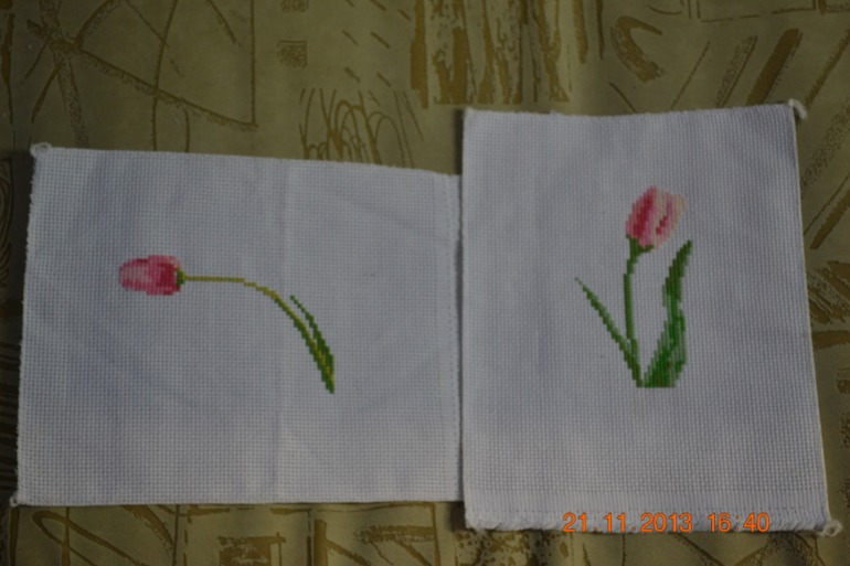 Мои "Герберы"