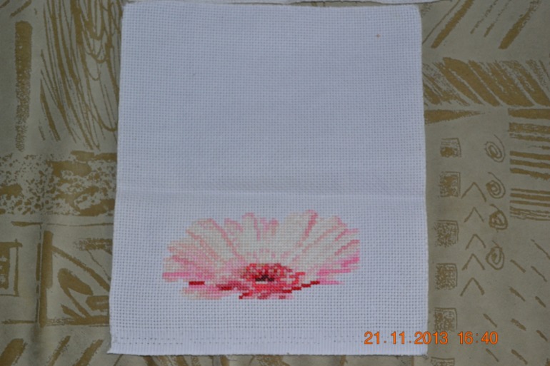 Мои "Герберы"