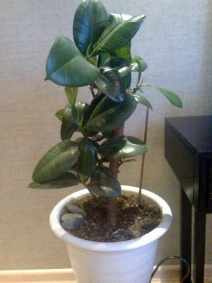 Наша спальня на пике творческого полёта.....