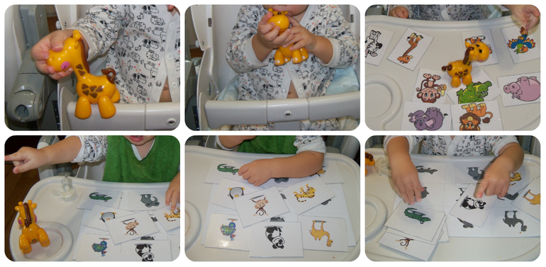 ТН «Животные Африки»