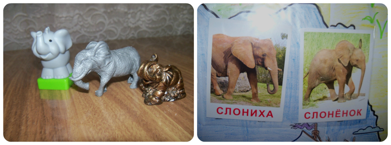 ТН «Животные Африки»