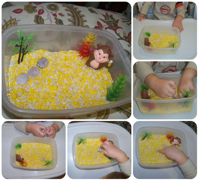 ТН «Животные Африки»