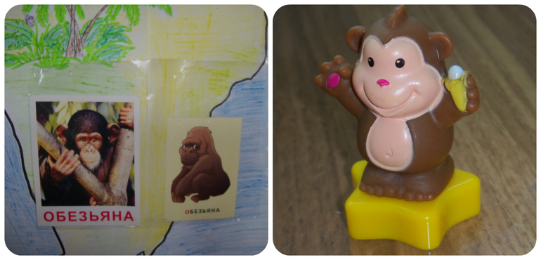 ТН «Животные Африки»