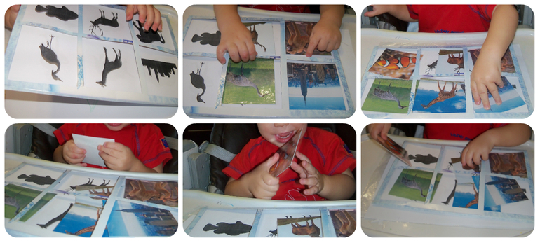 ТН «Животные Африки»