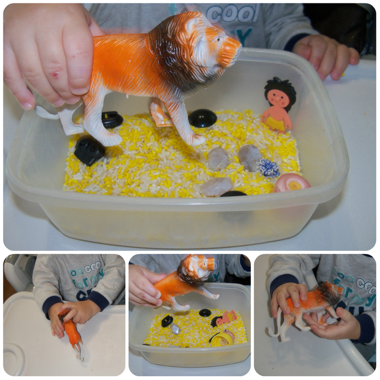 ТН «Животные Африки»