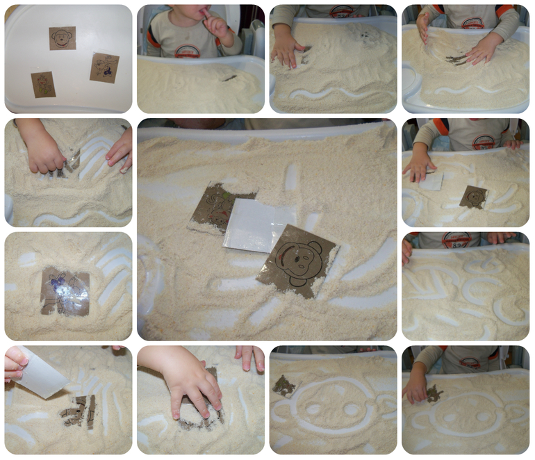 ТН «Животные Африки»