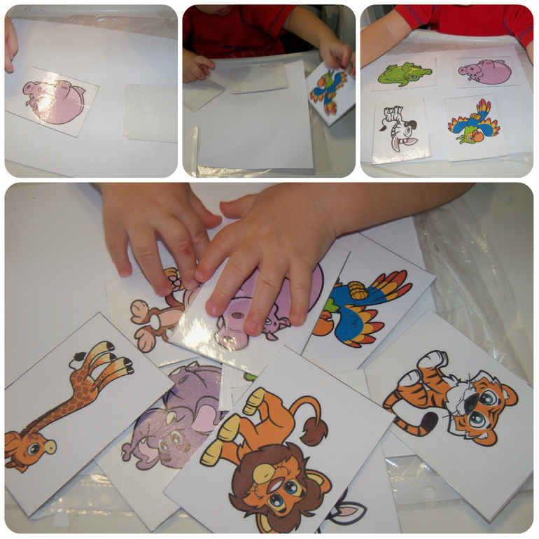 ТН «Животные Африки»