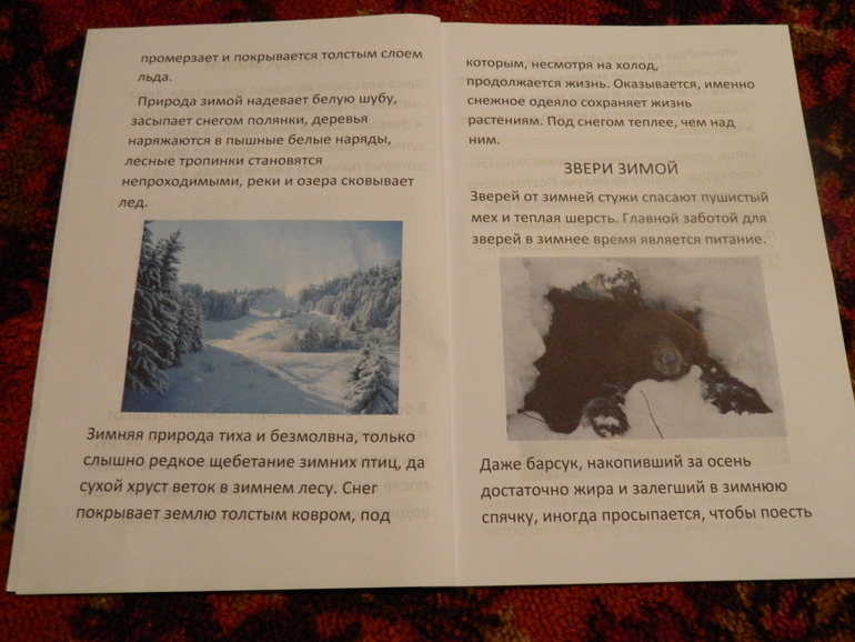 Книжка про зиму