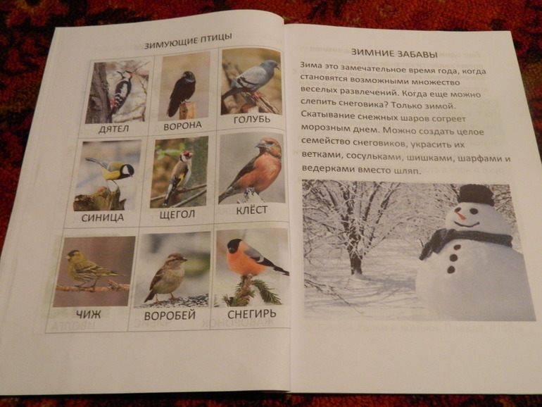 Книжка про зиму