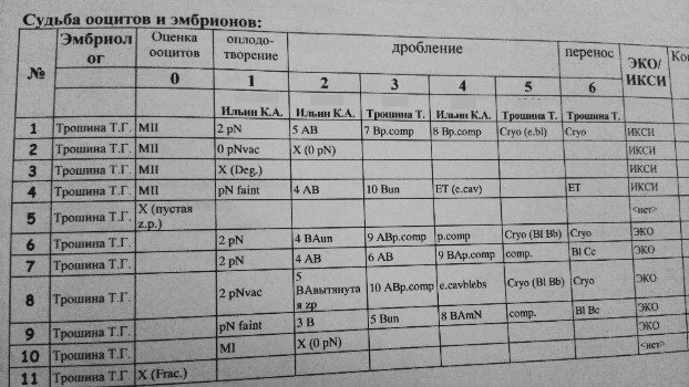 Эмбриологическая карта расшифровка