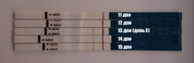 На какой день после овуляции. Динамика тестов на беременность эвитест по дням. 10 ДПО эвитест динамика. Динамика тестов на беременность по ДПО эвитест. Эвитест 15 ДПО.