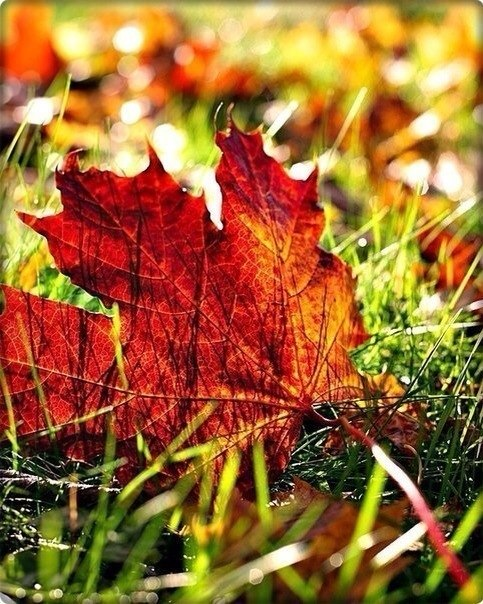 Концептуальный мыльный набор