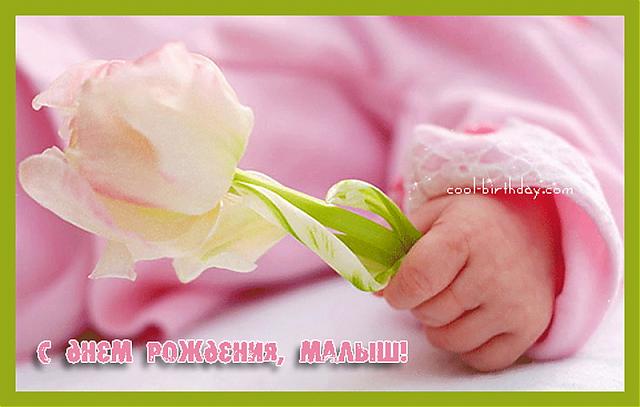 4decdbb1d273759ff61d96a3cc7c1ecd.jpg