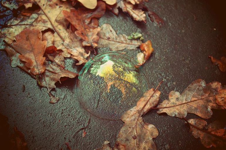 " Мыльные пузыри и осенью любимая забава "