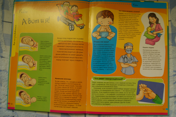 Нескучная Анатомия. Лабиринт